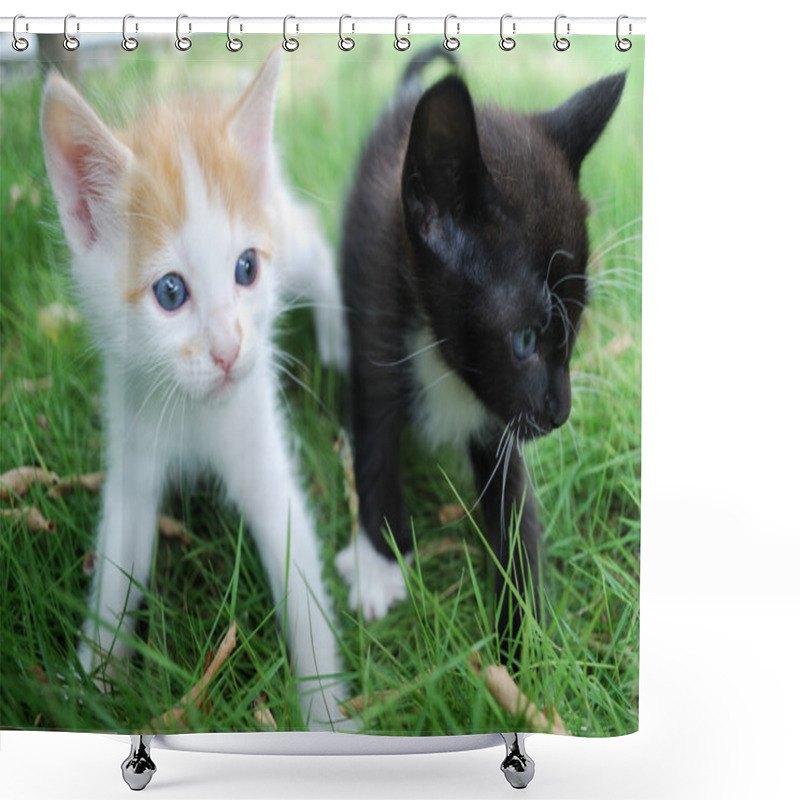 Personality  Black And White-red Kittens Shower Curtains