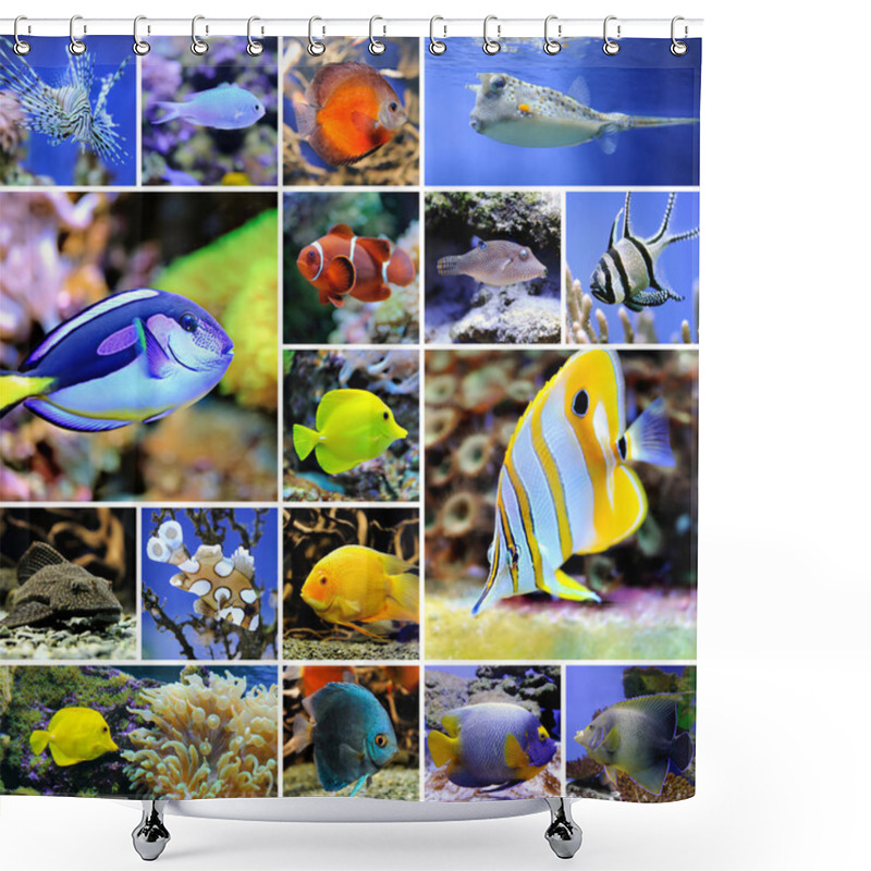 Personality  Collage Of Underwater Photos Shower Curtains