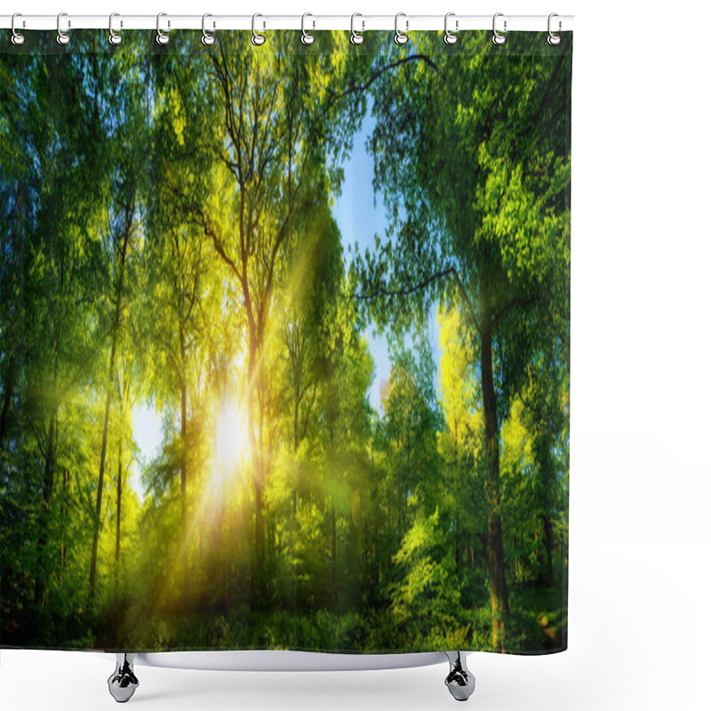 Personality  Vivid Scenery Of Beautiful Sunlight In A Lush Green Forest, With Vibrant Colors And Pleasant Contrast Shower Curtains