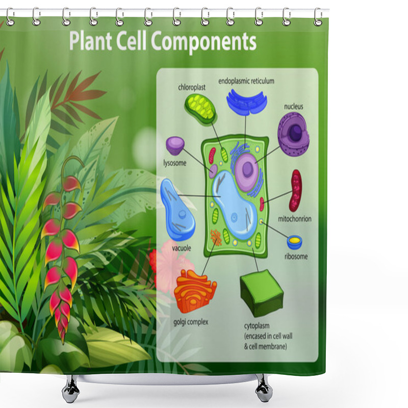 Personality  Plant Cell Components Diagram Shower Curtains