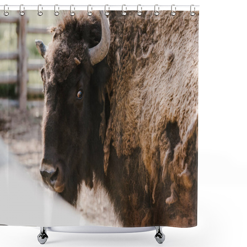 Personality  Close Up View Of Wild Bison At Zoo Shower Curtains