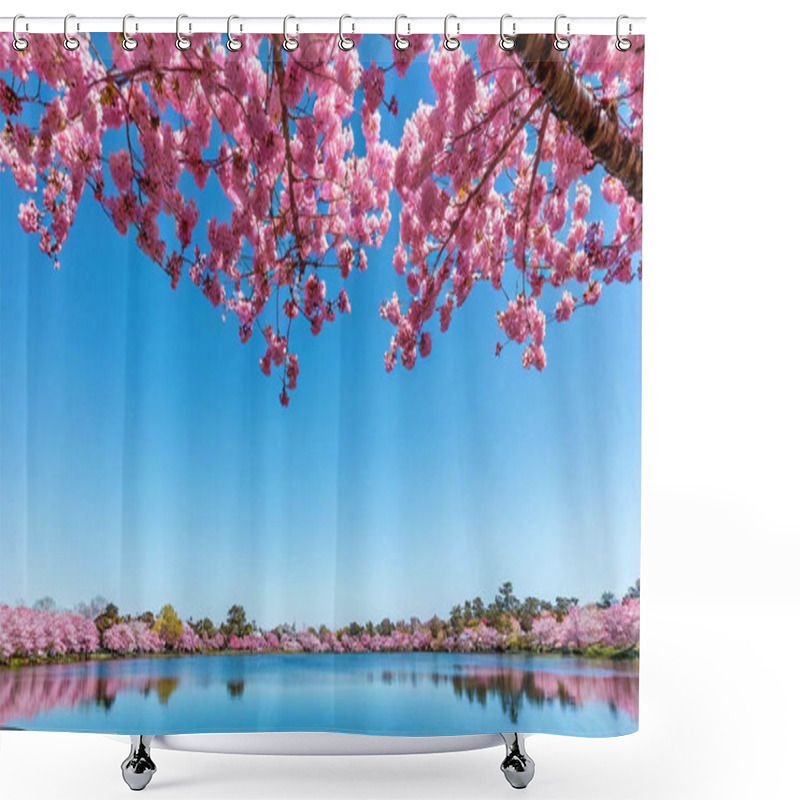 Personality  A Panoramic View Of Cherry Trees In Bloom, Set Against A Sky Tinged With Soft Pastel Rainbows. The Reflections In The Pond Below Seem Almost Surreal, As Petals Float On The Water's Edge. Shower Curtains