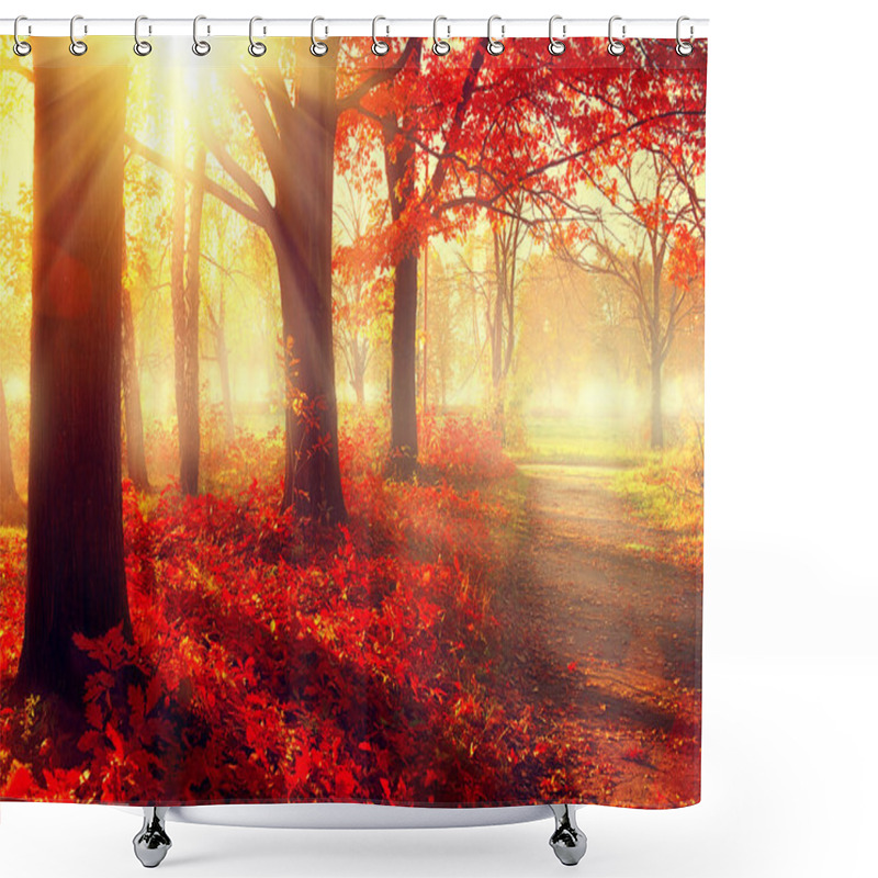 Personality  Autumnal Park In Sunlight Shower Curtains