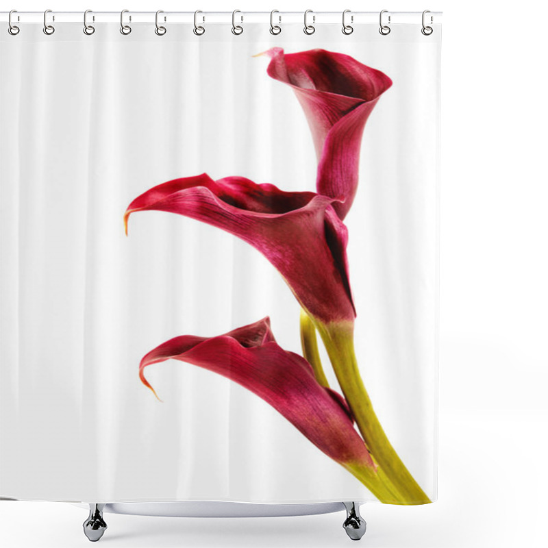 Personality  Pink Calla Lilies Shower Curtains