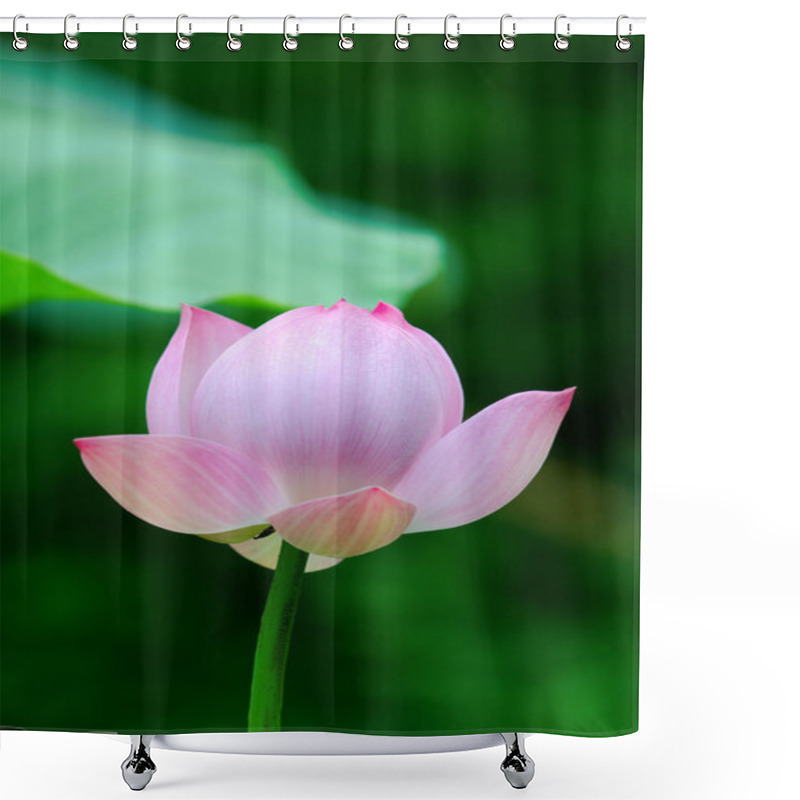 Personality  Lotus Flower Shower Curtains