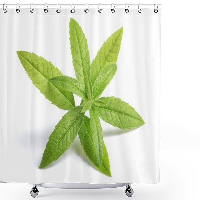 Personality  Lemon Verbena  (beebrush) Shower Curtains