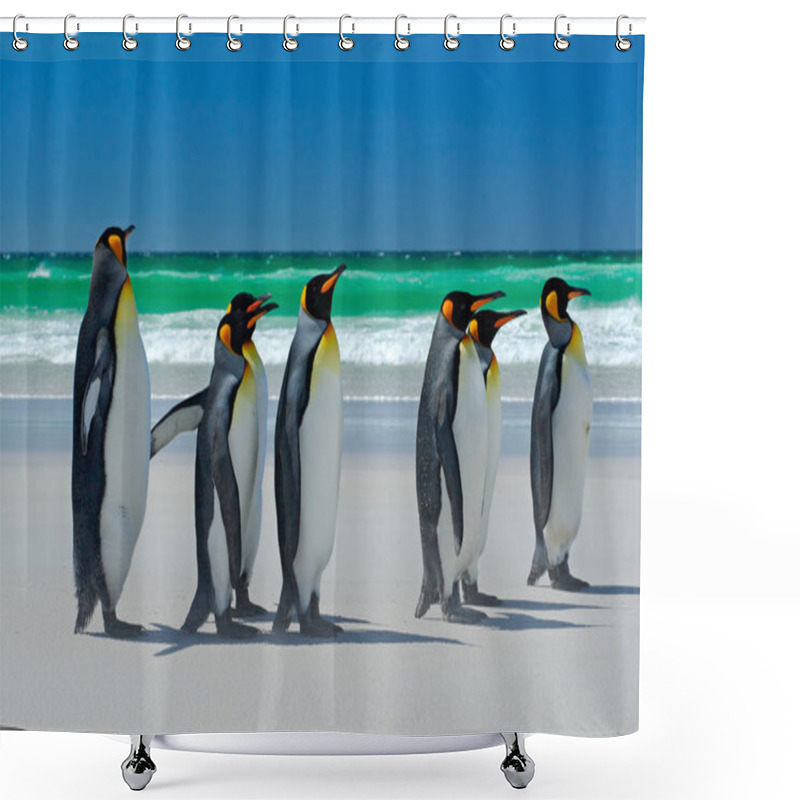 Personality  Group Of King Penguins Shower Curtains