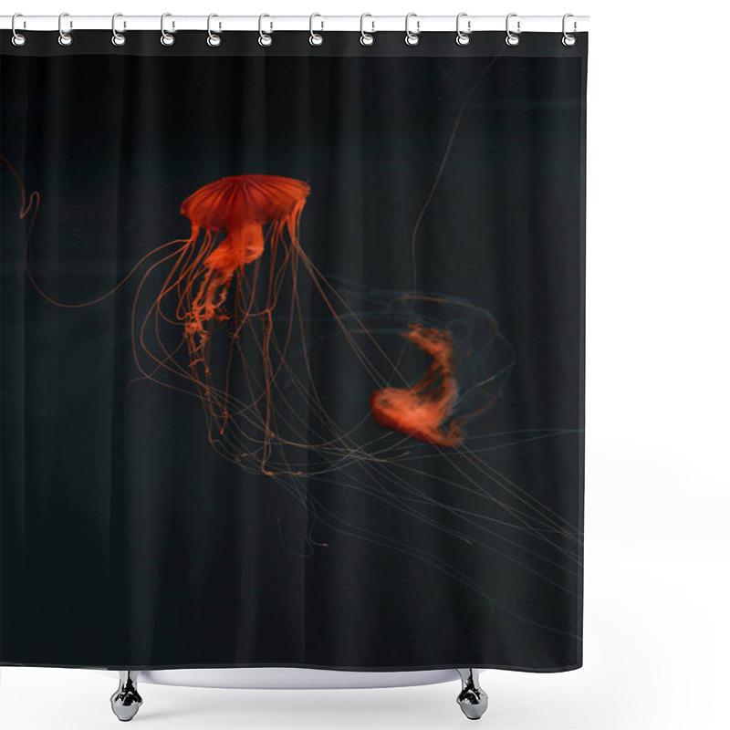 Personality  Selective Focus Of Compass Jellyfishes In Red Neon Light On Dark Background Shower Curtains