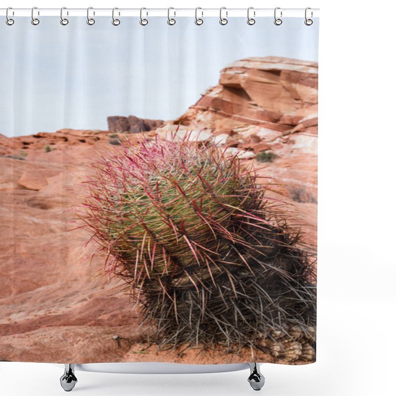 Personality  Valley Of Fire, Nevada Shower Curtains