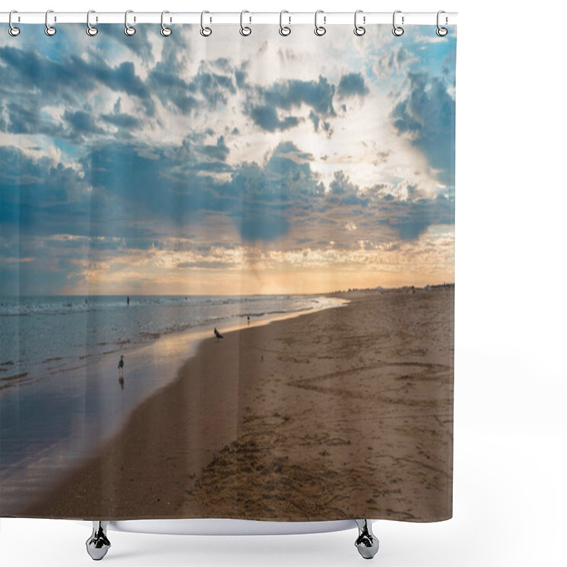 Personality  Golden Light Reflects On The Shoreline As Seagulls Stroll Along The Sand. Shower Curtains