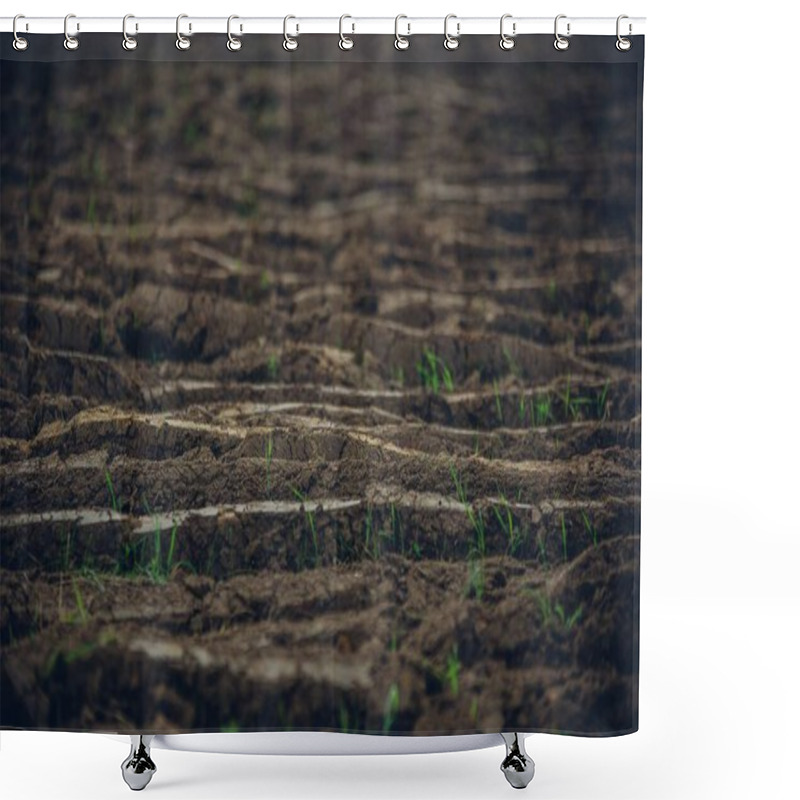 Personality  A Shallow Depth Of Field Image Of Tilled Soil At A Farm Shower Curtains