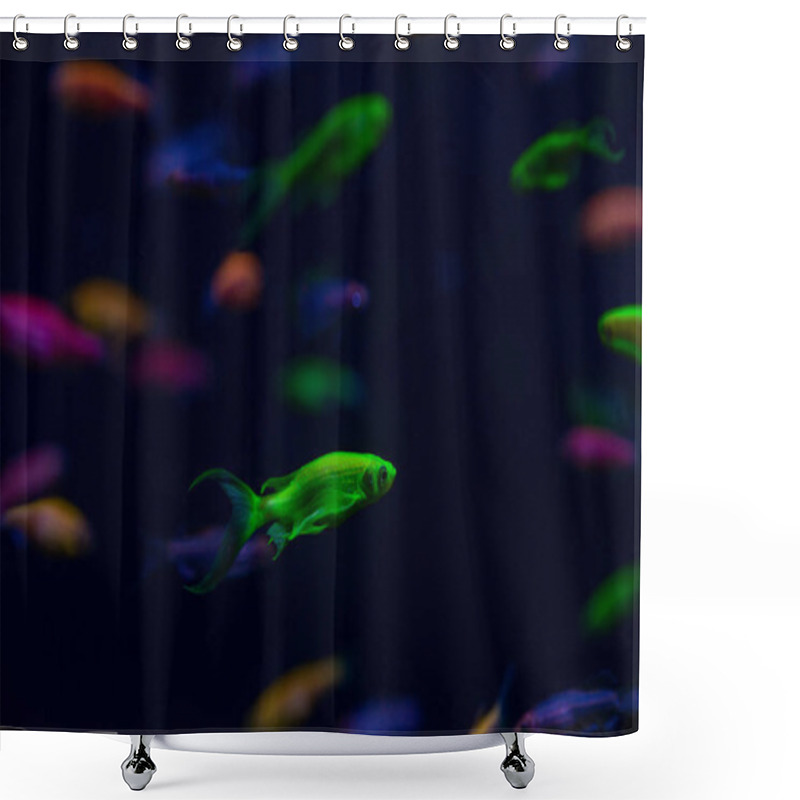 Personality  Nice Danio Glow Fish Freshwater Pets Aquarium Shower Curtains