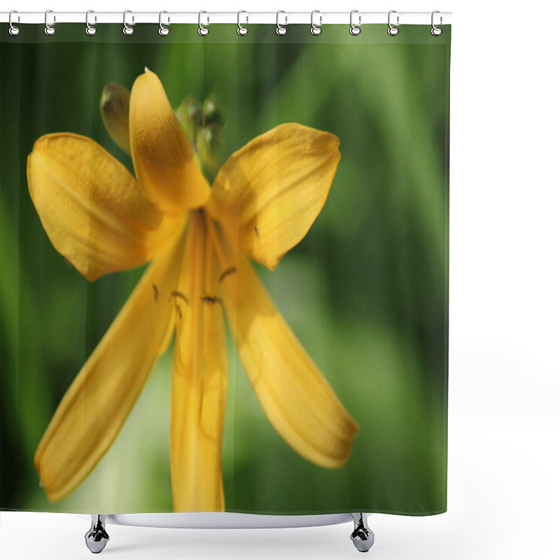 Personality  A Vibrant Yellow Flower Opens Up In A Verdant Garden, Its Delicate Petals Illuminated By The Afternoon Sun, Attracting Attention With Its Beauty And Detail. Shower Curtains