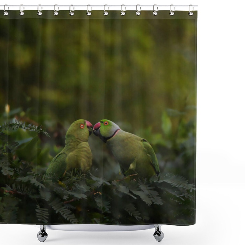 Personality  Two Green Parakeets Perched On A Lush Branch, Sharing An Intimate Moment Surrounded By Vibrant Greenery. A Serene Display Of Love And Connection In Nature's Embrace. Shower Curtains