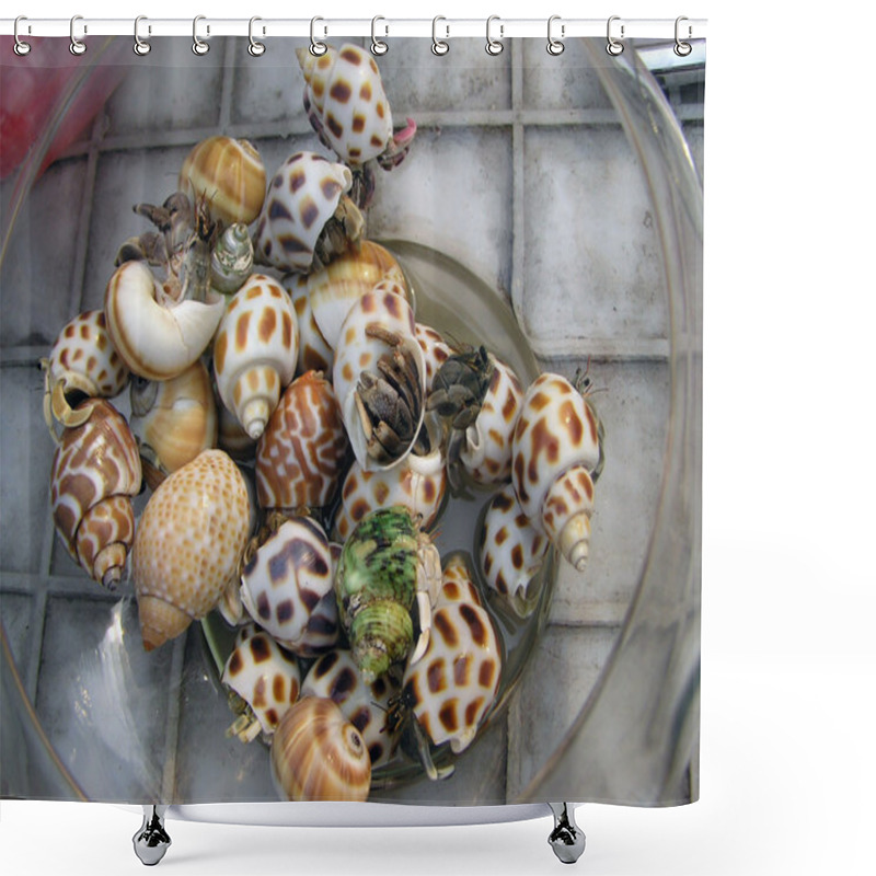 Personality  Hermit Crabs Shower Curtains