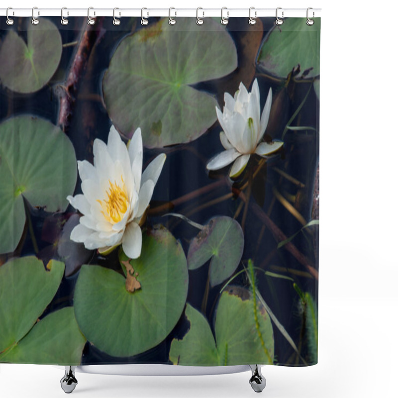 Personality  Beautiful Water Lily In Lake Shower Curtains