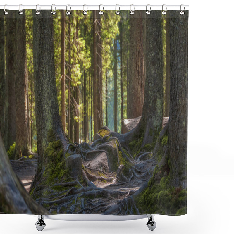 Personality  Magic Sunny Forest. Shower Curtains