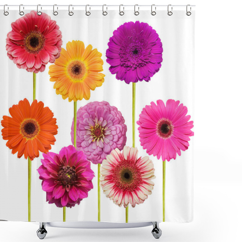 Personality  Gerbera Flower Collage Isolated On White Background Shower Curtains