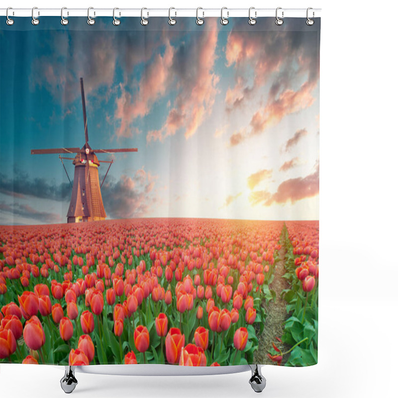 Personality  Windmill In Holland Michigan - An Authentic Wooden Windmill From The Netherlands Rises Behind A Field Of Tulips In Holland Michigan At Springtime. High Quality Photo. High Quality Photo Shower Curtains