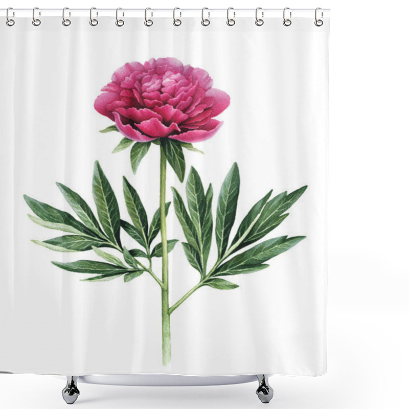 Personality   Illustration Of Peony Flower Shower Curtains