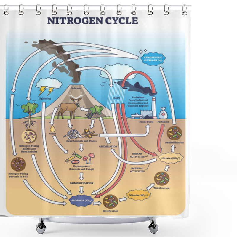 Personality  Nitrogen Or N2 Cycle With Sources And Circulation In Earth Outline Diagram Shower Curtains