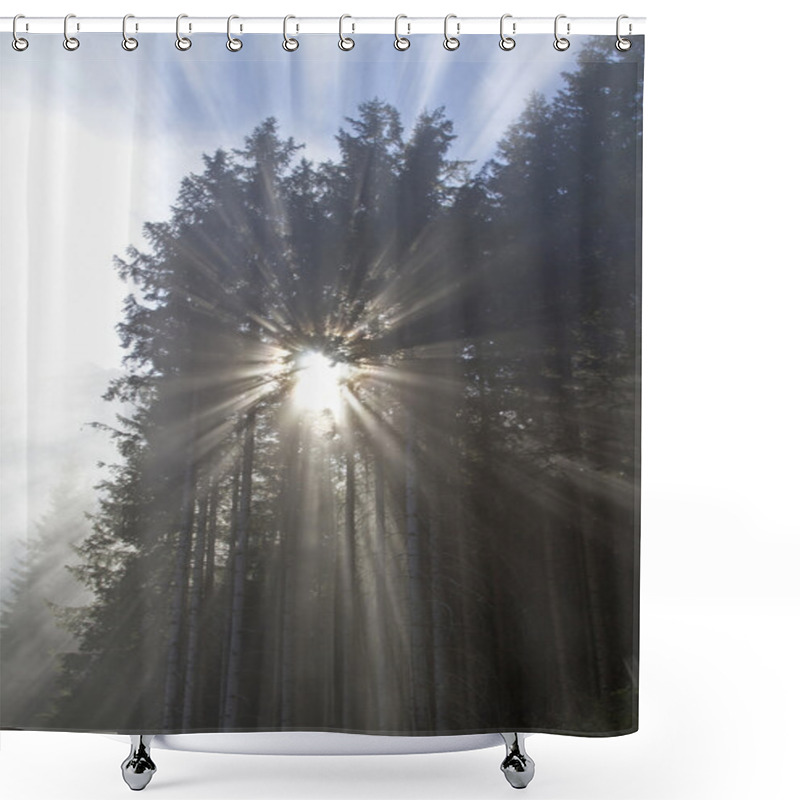 Personality  Backlight In The Mountain Forest Shower Curtains