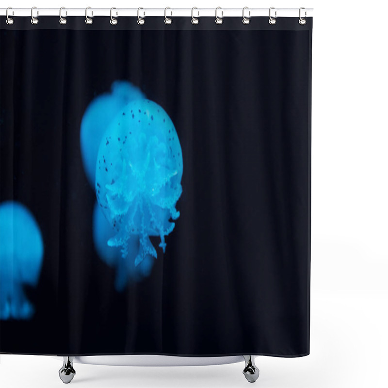 Personality  Spotted Jellyfishes In Blue Neon Light On Black Background Shower Curtains