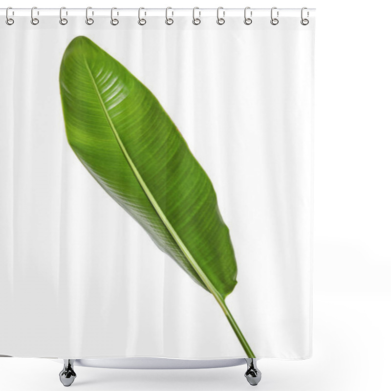 Personality  Strelitzia Reginae, Heliconia, Bird Of Paradise Foliage Isolated On White Background, With Clipping Path Shower Curtains