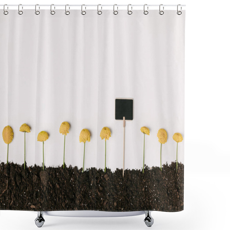 Personality  Top View Of Yellow Chrysanthemum Flowers In Ground With Blank Blackboard Isolated On White Shower Curtains