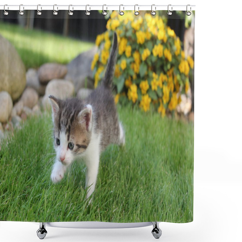 Personality  Little Kitty Shower Curtains