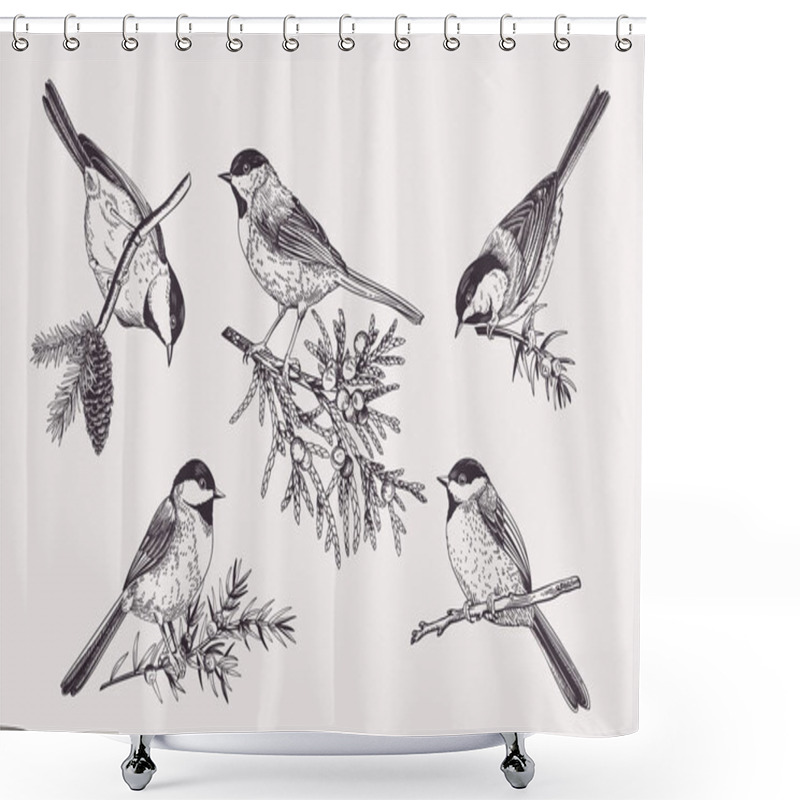 Personality  Set Of Birds. Chickadee On Coniferous Branches. Vector Illustration. Black And White. Shower Curtains