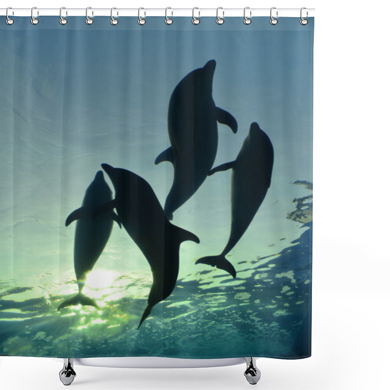 Personality  Dolphin Family Swimming Shower Curtains