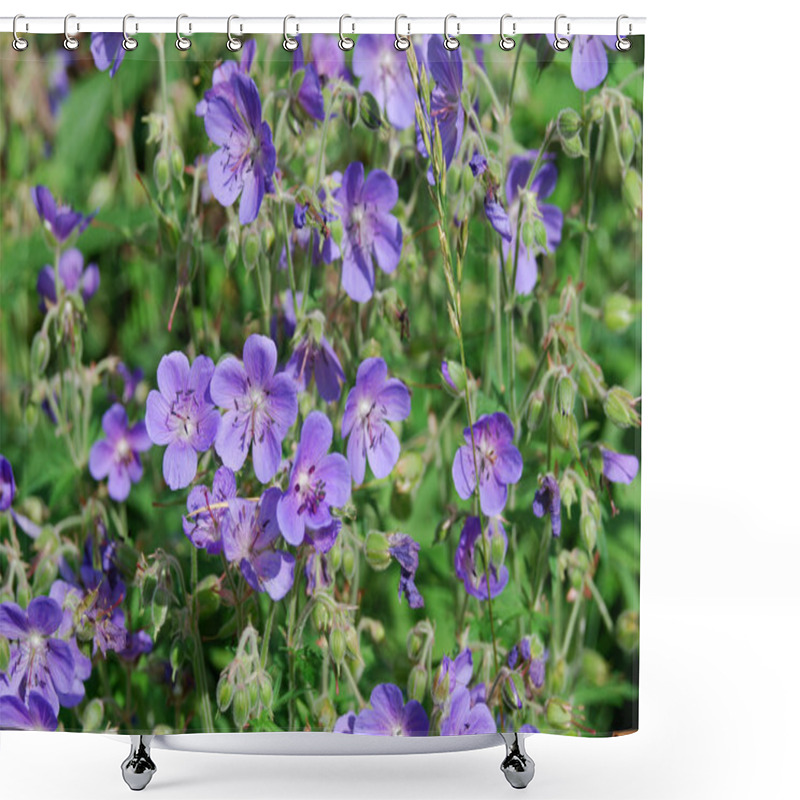 Personality  Meadow Geranium (Geranium Pratense) Shower Curtains