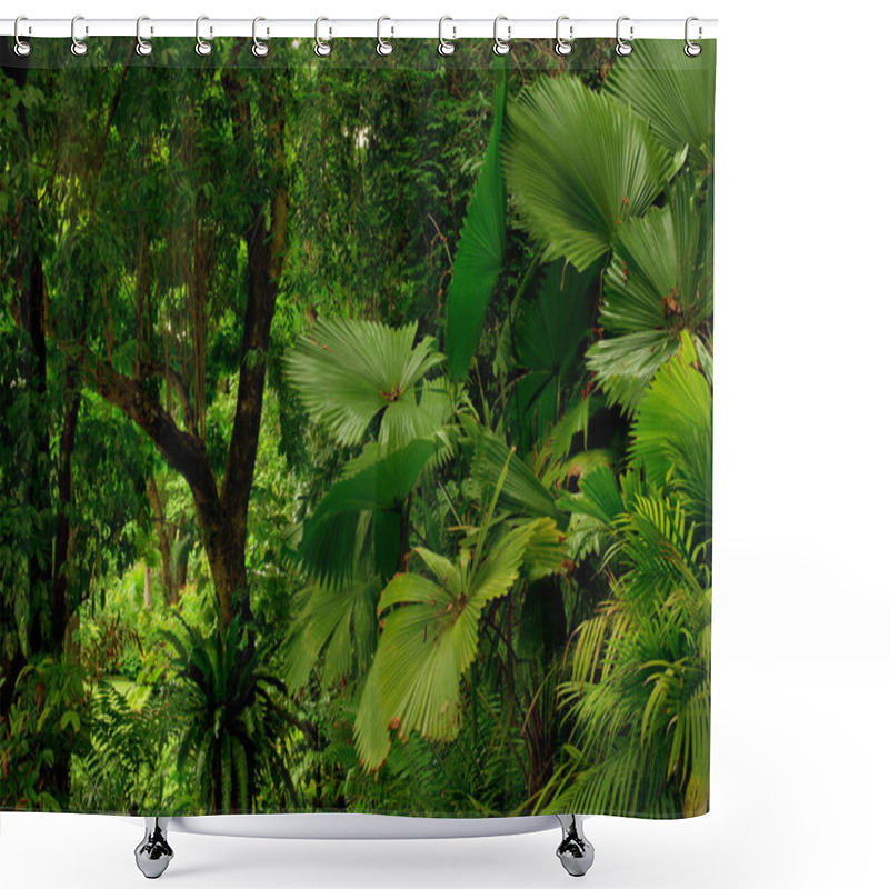 Personality  Rainforest Near Cairns, North Queensland, Australia Shower Curtains