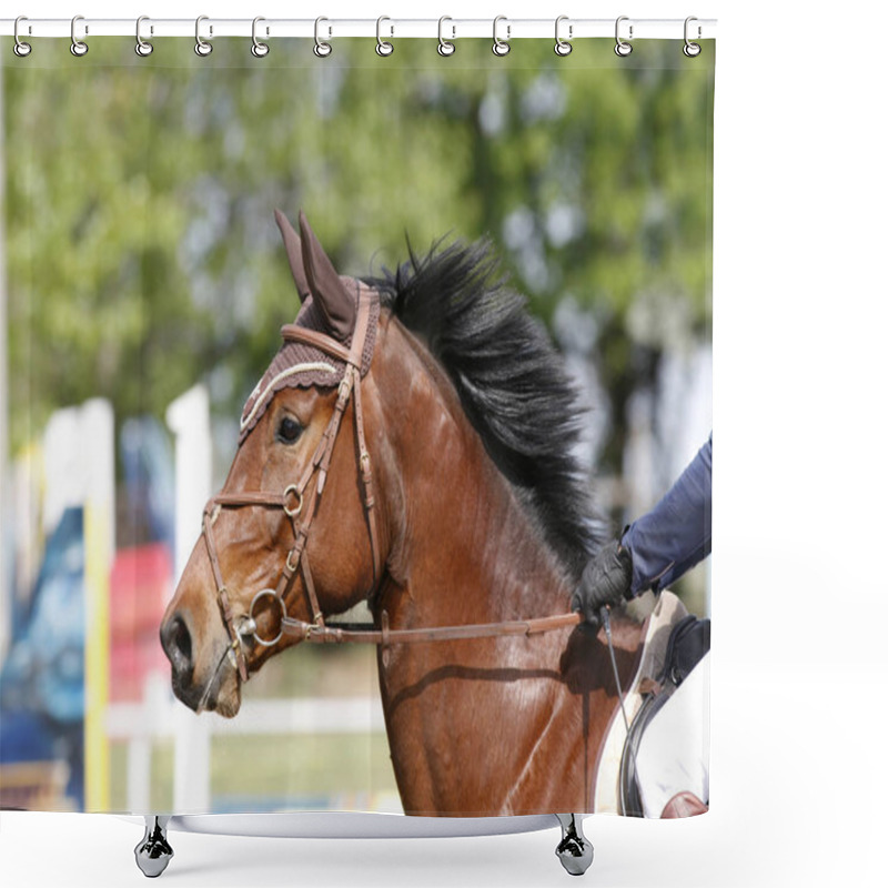 Personality  Head Of A Beautiful Young Sporting Horse During Competition Outdoors. Sport Horse Closeup On Dressage Competition. Equestrian Sport Background Shower Curtains