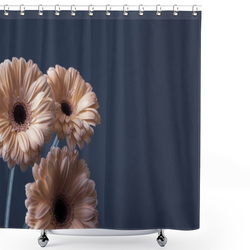 Personality  Fresh Pink Cream Gerbera Flowers On A Decorative Gray Background Shower Curtains