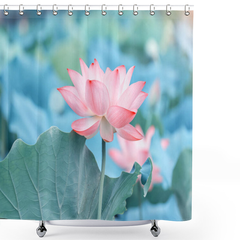 Personality  Lotus Or Waterlilly Flower In The Pond Shower Curtains