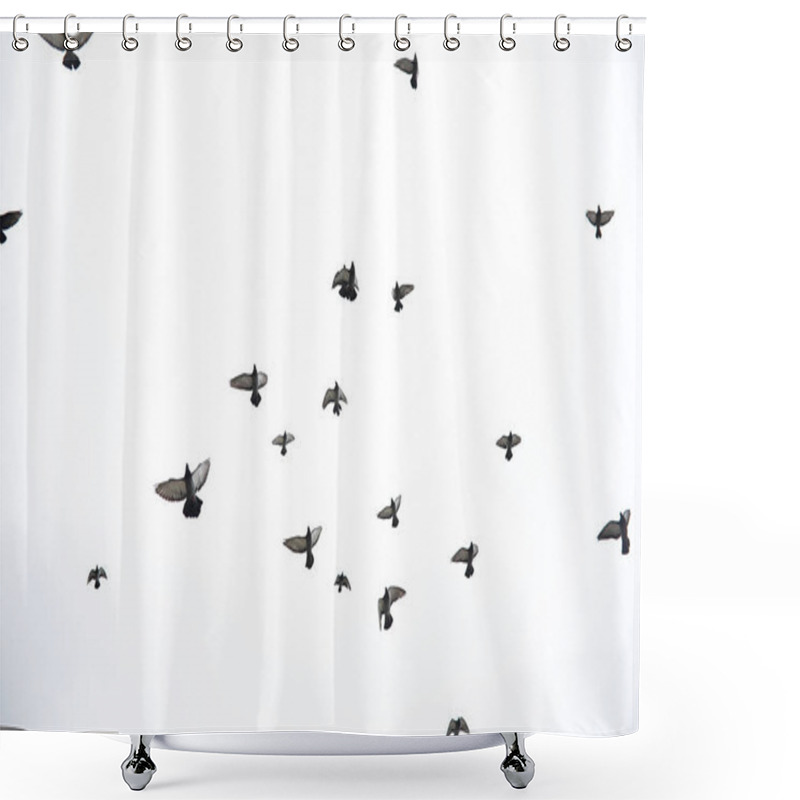 Personality  A Flock Of Pigeons Flies Across The Sky. Birds Fly Against The S Shower Curtains