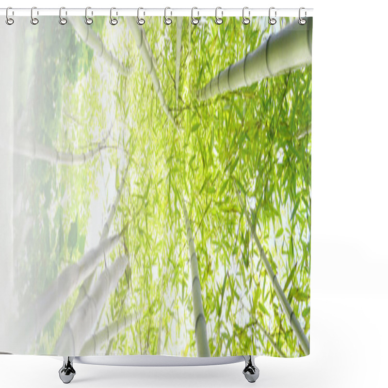 Personality  Bamboo Forest Shower Curtains