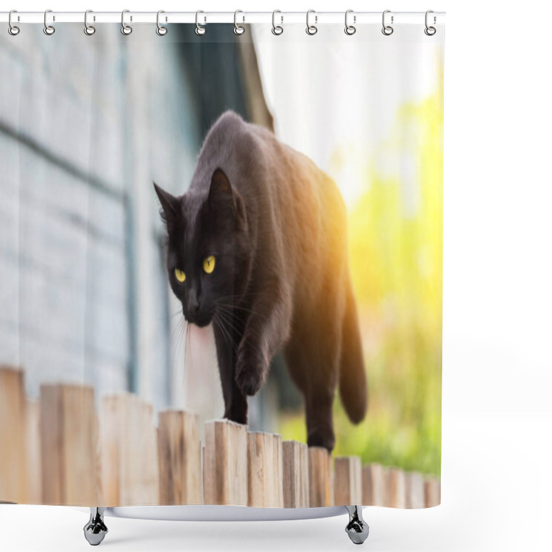 Personality  Beautiful Bombay Black Cat With Yellow Eyes Walking On Wooden Fence In Village Garden In Sunlight Shower Curtains