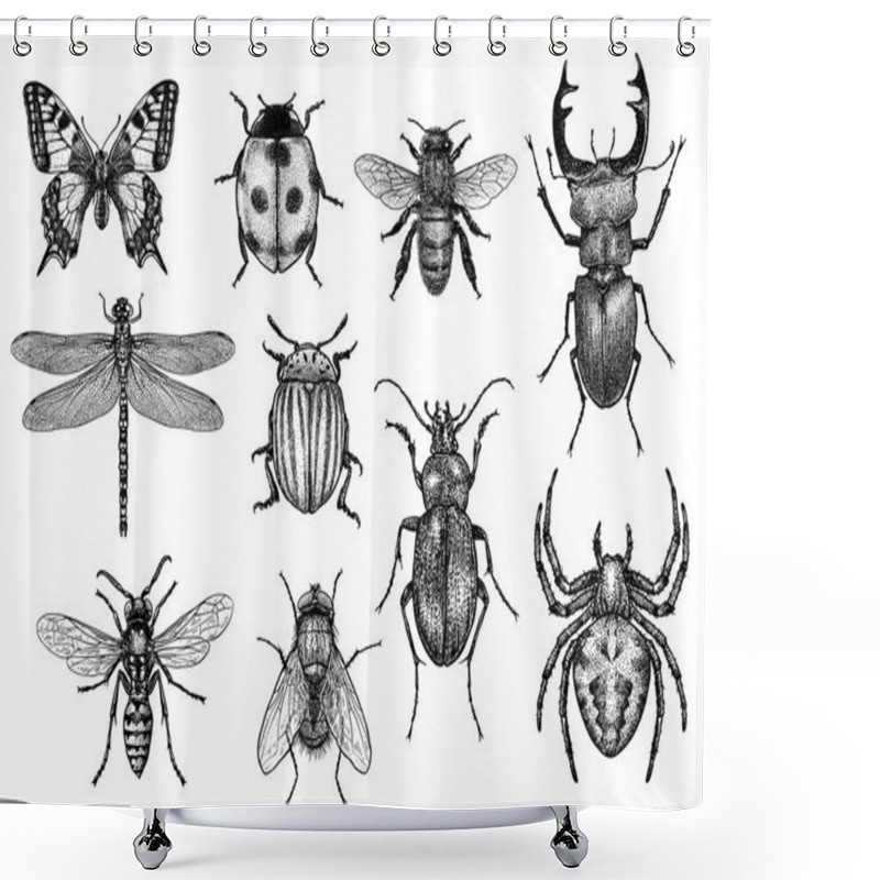 Personality  Engraved, Drawn,  Illustration, Insect, Collection, Group Shower Curtains