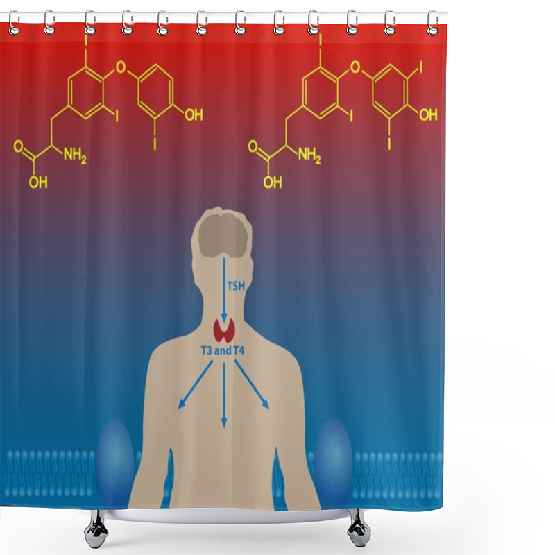 Personality  Thyroid Hormones Shower Curtains