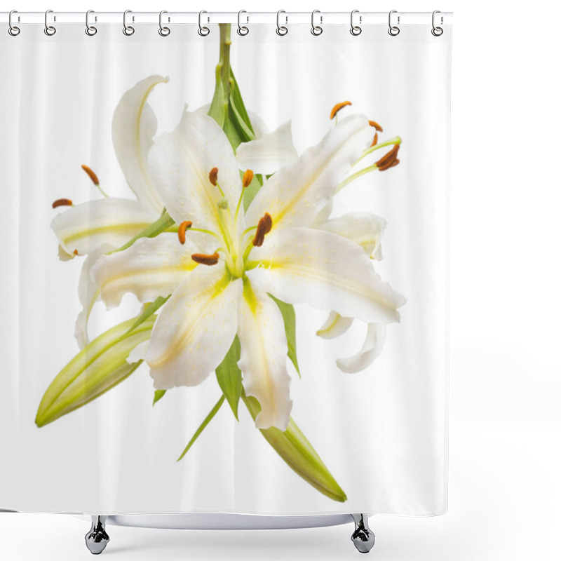 Personality  Bouquet Of Beautiful White Lily Flowers Shower Curtains