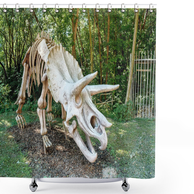 Personality  Triceratops Fossil Skeleton Over Natural Background Shower Curtains