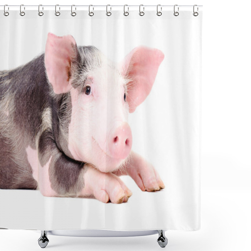 Personality  Portrait Of The Cute Little Pig Shower Curtains