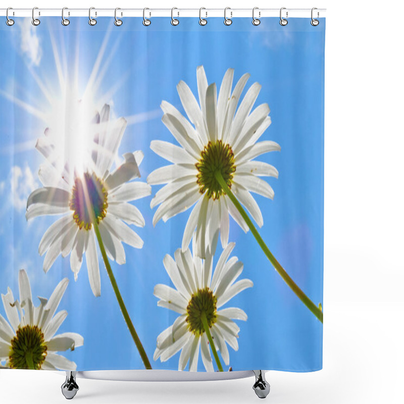 Personality  Daisy Flowers In Summer Shower Curtains