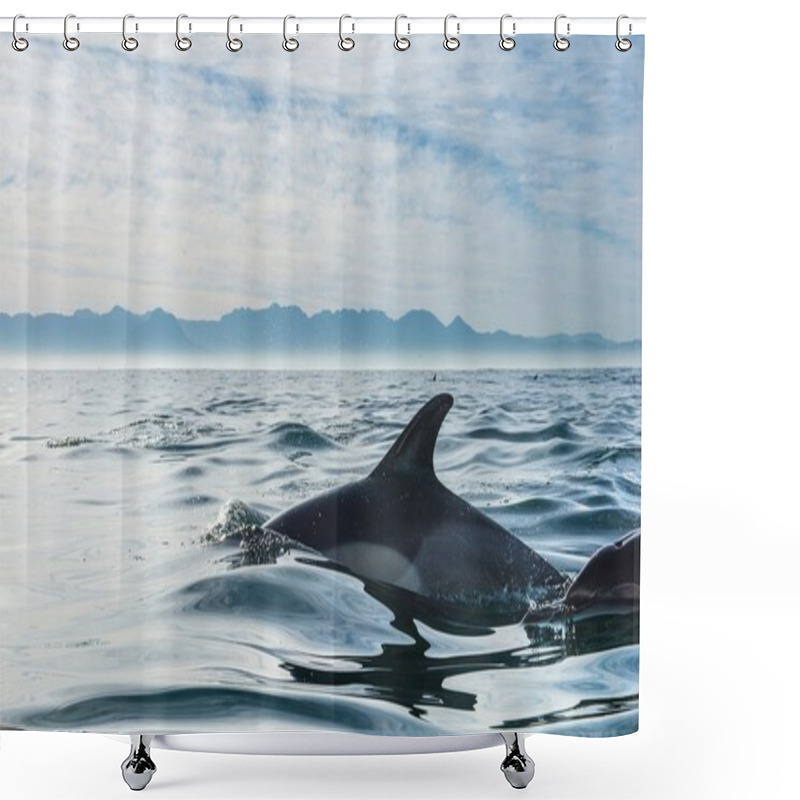 Personality  Group Of Dolphins Swimming In The Ocean  Shower Curtains