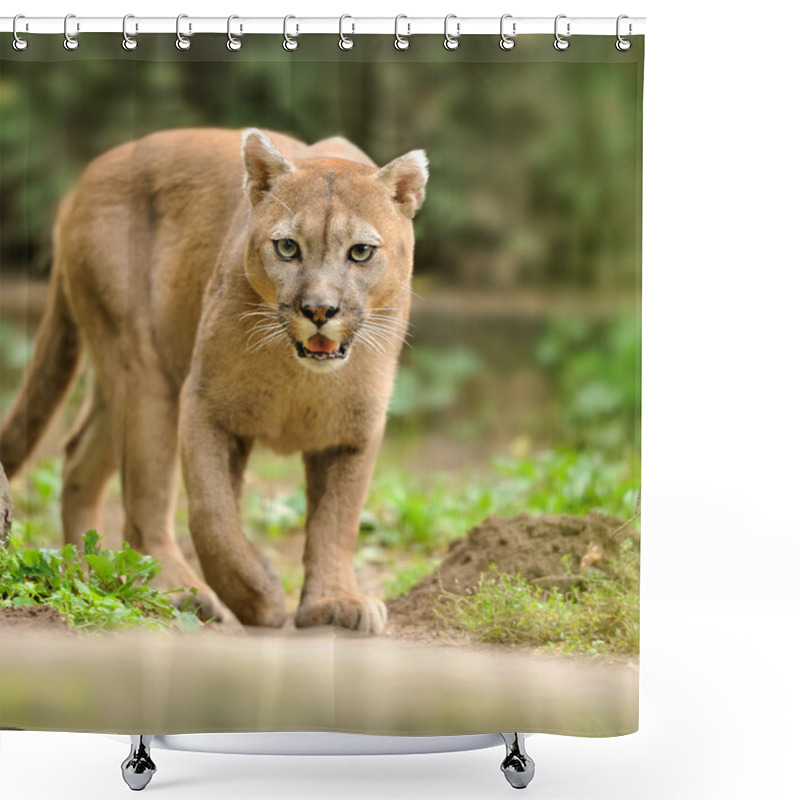 Personality  Cougar Shower Curtains