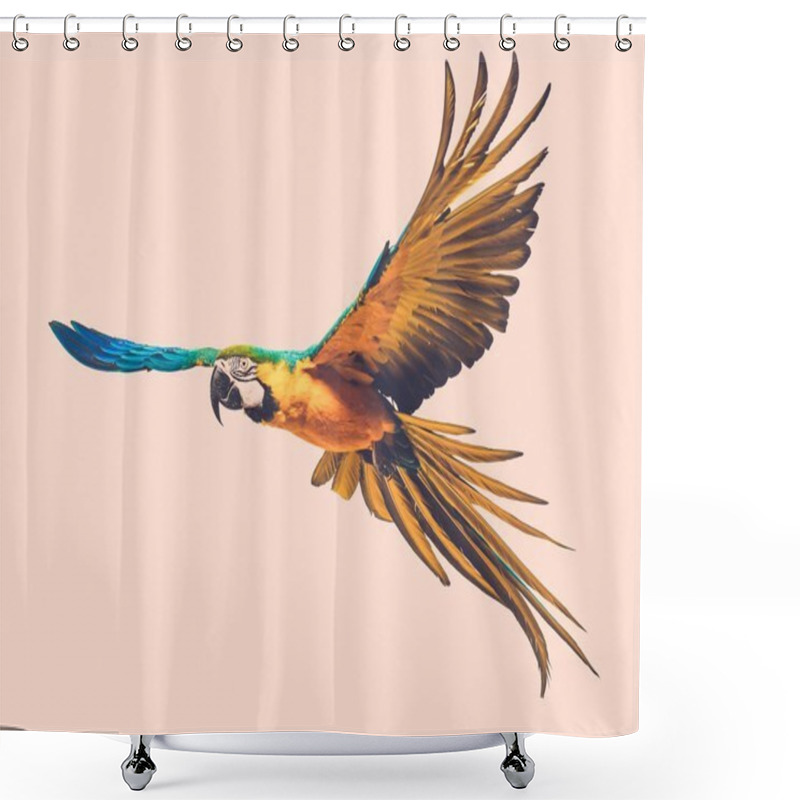 Personality  Flying Parrot Toned Shower Curtains