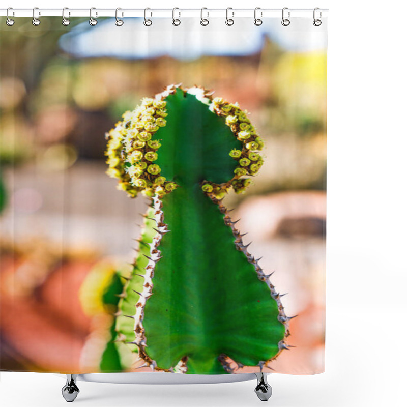 Personality  Flowering Cactus Plant, Lanzarote, Canary Islands Shower Curtains